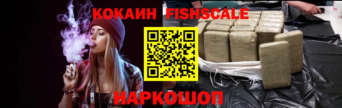 Елизово  КОКАИН Fish Scale  где купить наркоту  Вход с VPN  Кокаин 99% 