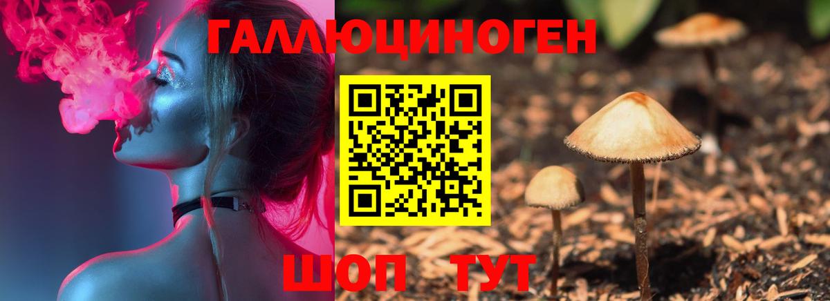 Елизово  Псилоцибиновые грибы Cubensis  Вход с VPN  Галлюциногенные грибы MAGIC MUSHROOMS 